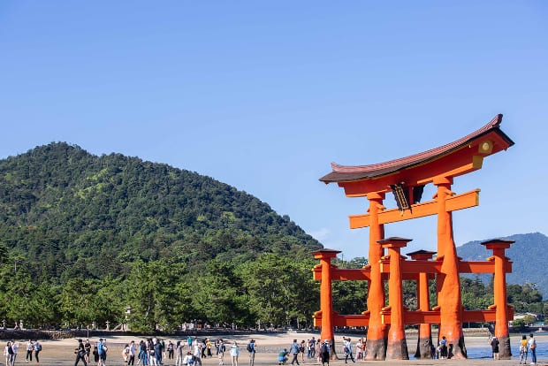 広島東洋カープ シティクリーン プロジェクト