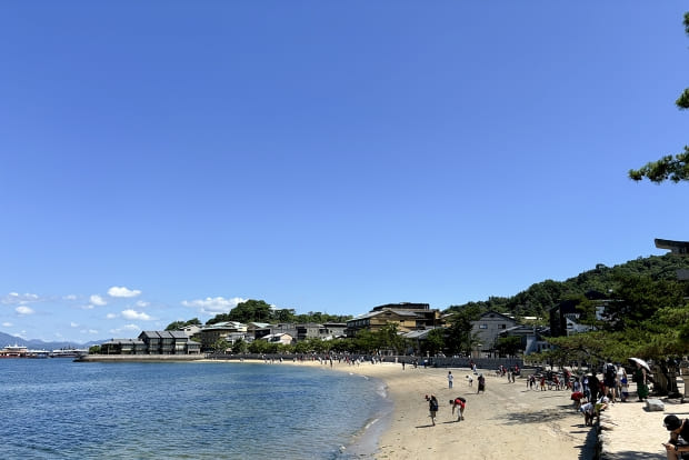 広島東洋カープ シティクリーン プロジェクト